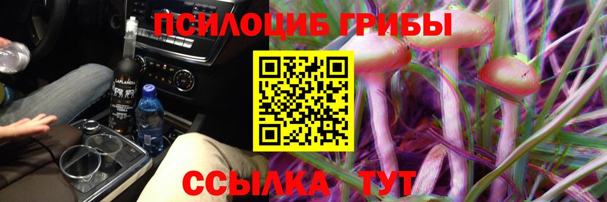 где найти наркотики  Псилоцибиновые грибы Cubensis  Вход с VPN  Грозный 