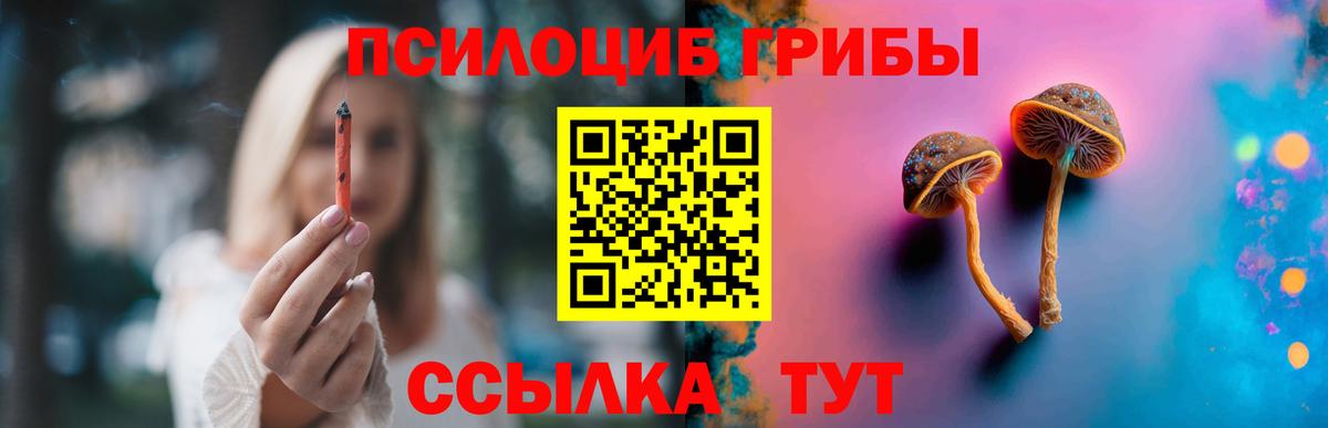Галлюциногенные грибы Magic Shrooms Грозный