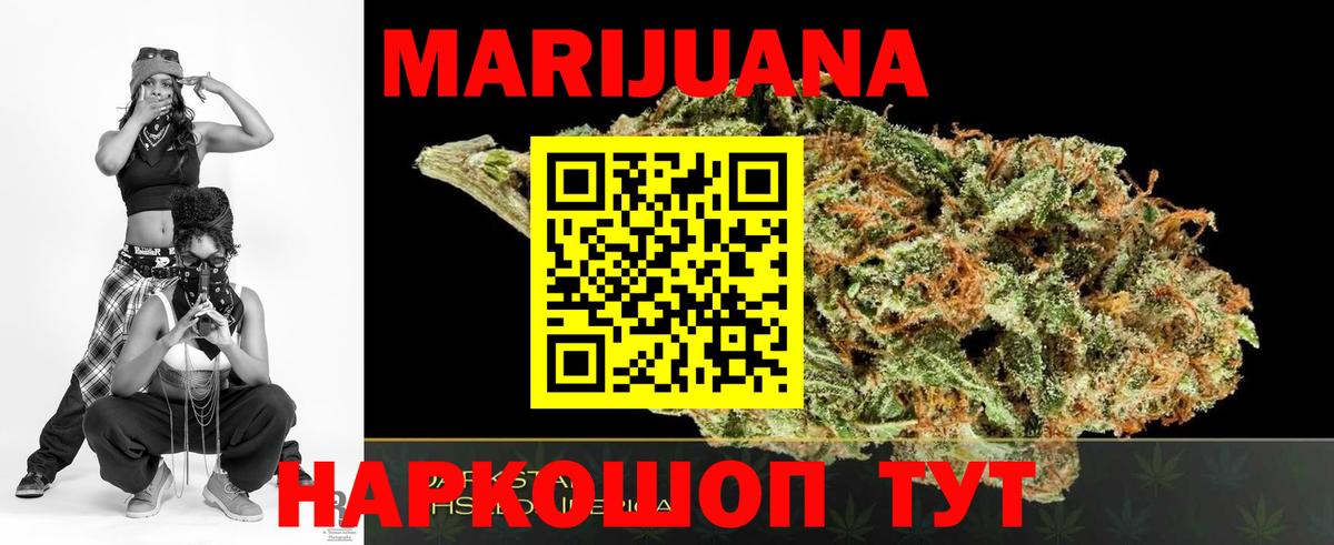 Каннабис конопля Грозный